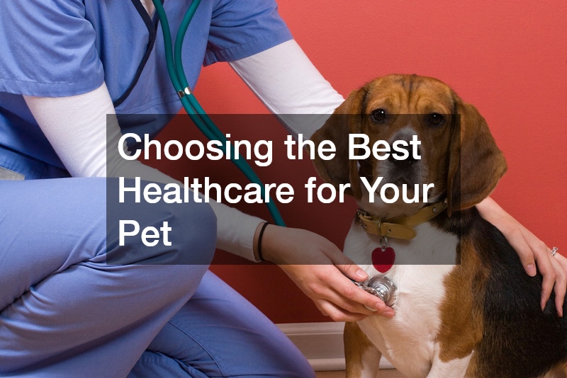 Choosing the Best Healthcare for Your Pet